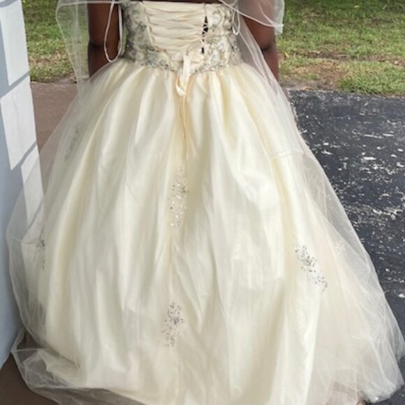 ✨ Fairytale Floral Gown | Bridgerton-Inspired | Size XL ✨ - Picture 3 of 5